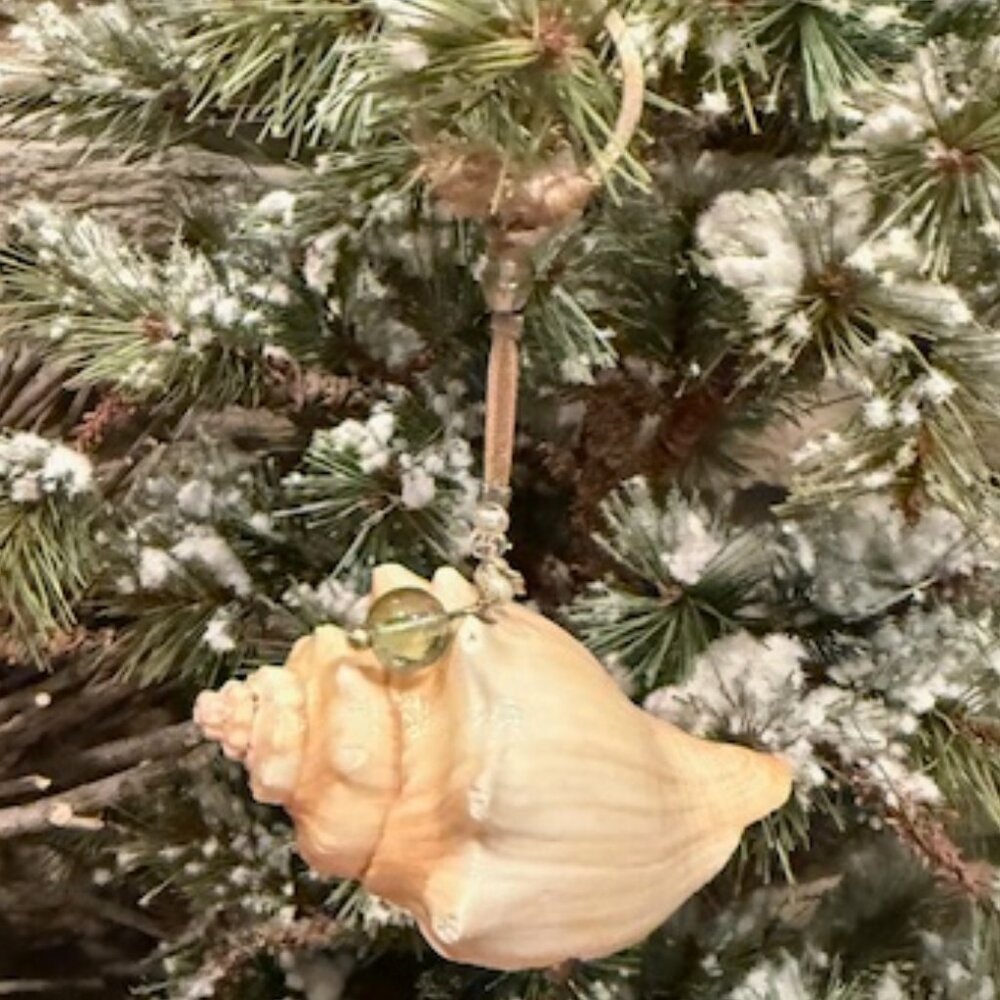 'REAL' Pale Mini Conch SEASHELL ORNAMENT Polished & Detailed Hanger + Beads